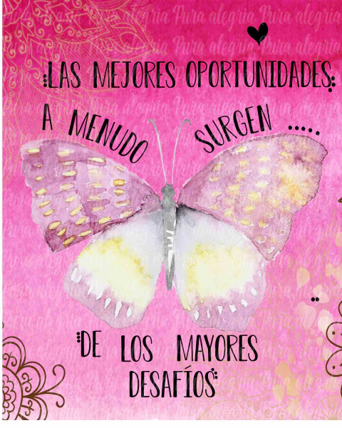 Estampa Las mejores oportunidades, mariposa