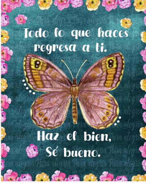 Estampa Todo lo que hacés, mariposa