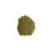Ginkgo Biloba Pó 50g