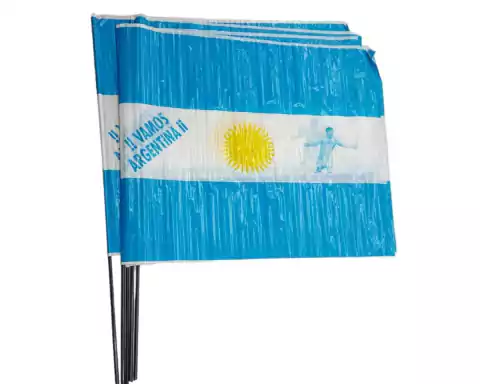 Bandera Vamos Argentina Messi Plastica 60 X 80 Cm C/palo X 5