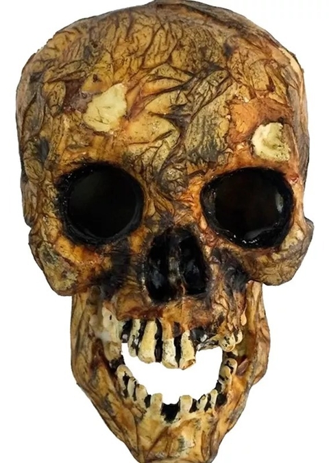 Adorno Calavera Antigua disecada Halloween Terror Deco Cotillon