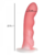 Dildo Curvo Compatible con Arnés en internet