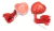Pezoneras con forma de Corazón y Borla - Autoadhesivas - - Sextasis Argentina