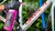 Limpador de Bicicletas NanoTech Muc Off 1L - The Biker Shop