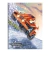 CADERNO BROCHURA CD CROSS RACING 96FLS. FORONI - comprar online