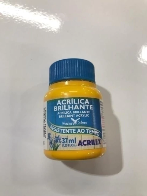 Tinta Acrílica Brilhante Acrilex Amarelo Ouro 505