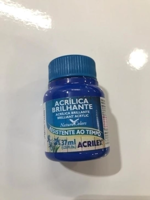 Tinta Acrílica Brilhante Acrilex Azul Turquesa 501