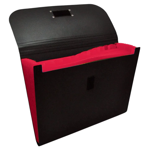 PASTA SANFONA DAC A-4 12 DIV R.658PP-VM