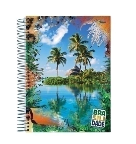 Caderno 14 Cd Esp Brasilidade 96fls Jandaia