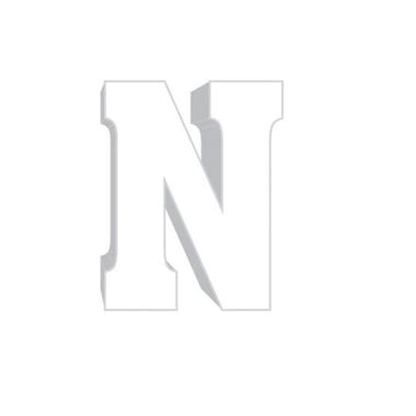 Enfeite Letra N EVA Provençal Luxo R.7143