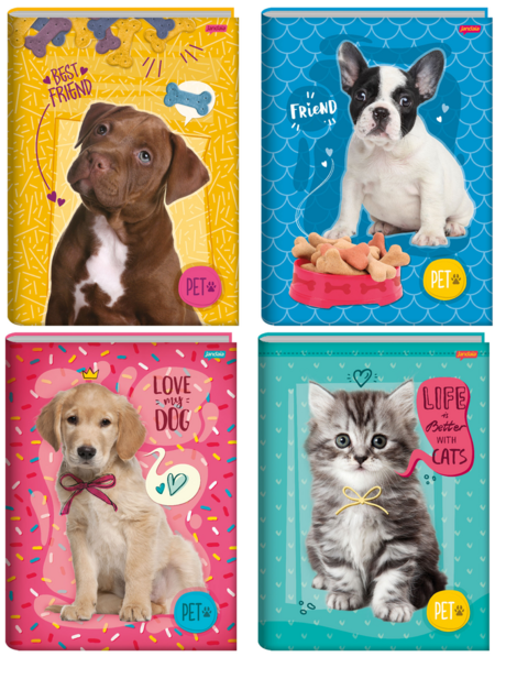 CADERNO 14 CD COST PET 96FLS JANDAIA