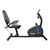 BICICLETA FIJA HORIZONTAL RECUMBENT RANDERS ARG-2534