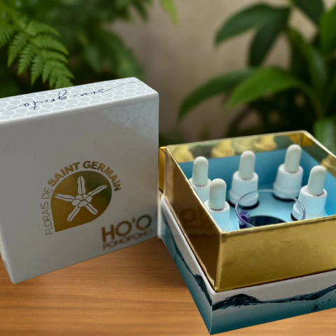 Ho'oponopono - Florais de Saint Germain - comprar online