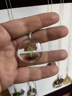 Biojoia Pingente Plantas Naturais - 04 na internet