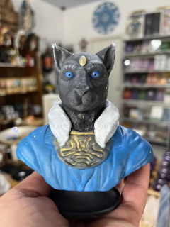 Felino de Sírius - 05B - Colecão Família Estelar na internet