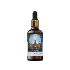 FLORAIS - LINHA SIGNOS na internet