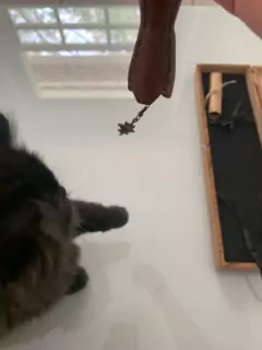 Varinha CeLesTiNe com caixa