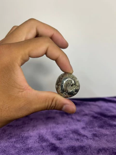 Pedras Roladas de Pirita - G na internet