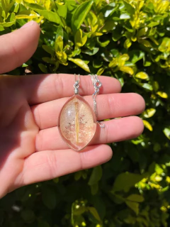 Biojoia Pingente Plantas Naturais - 03 - comprar online