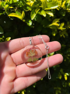 Biojoia Pingente Plantas Naturais - 04 - comprar online