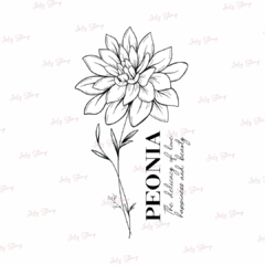 J354 - Peonia