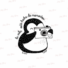 I238 - Pinguino momentos