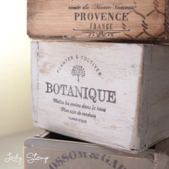 J302 - Botanique - comprar online
