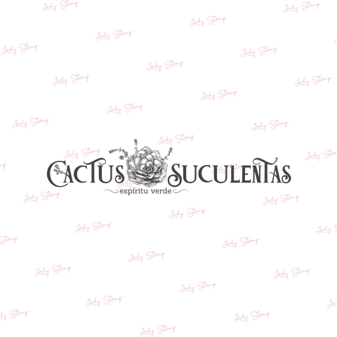 J327 - Cactus y suculentas
