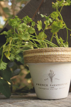 J339 - French - comprar online