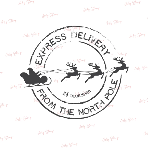 N817 - Expreso Polo Norte