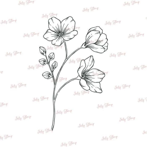 J367 - Pimpollos - comprar online