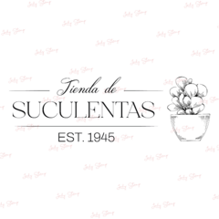 J378 - Tienda de suculentas