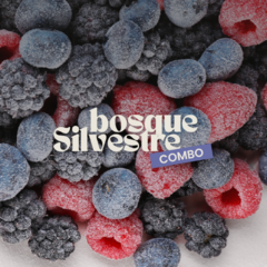 Combo Bosque Silvestre - comprar online