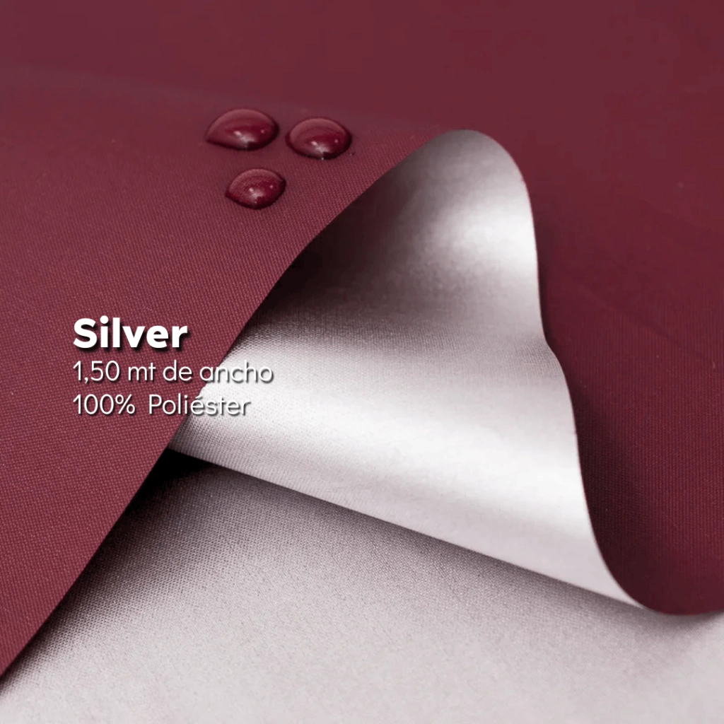 Silver Bordo