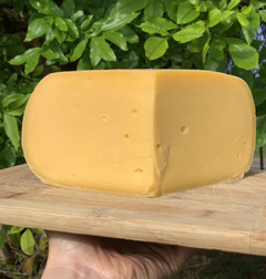 Alpeggio Fontina Gruyere