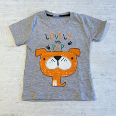 Remera manga corta (ÚLTIMA 12 MESES)
