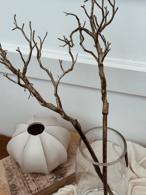 Vara Branch - Claudia Adorno - comprar online