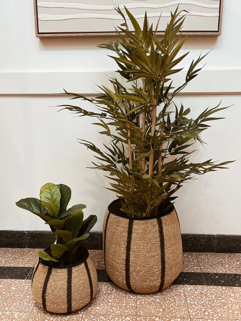 Planta Bamboo 1,20m - Claudia Adorno - comprar online