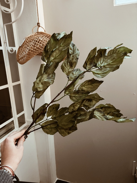 Vara Maple Claudia Adorno - comprar online