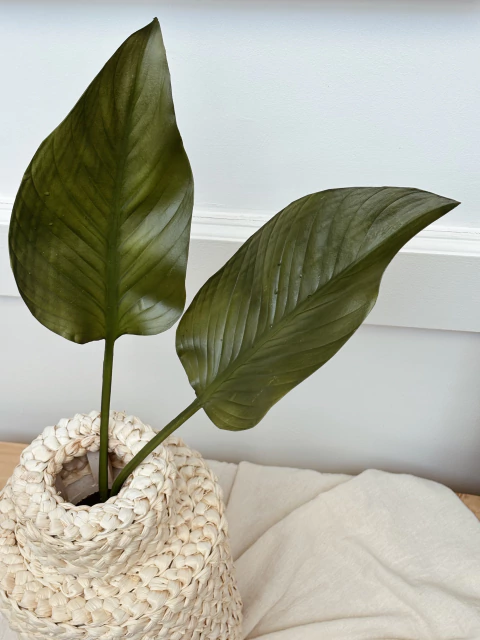 Vara Calla - Claudia Adorno - comprar online