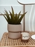 Porta maceta Classic Greige - comprar online