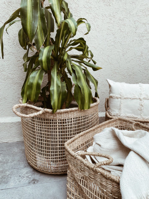 Canasto Tina - Claudia Adorno - 4 medidas