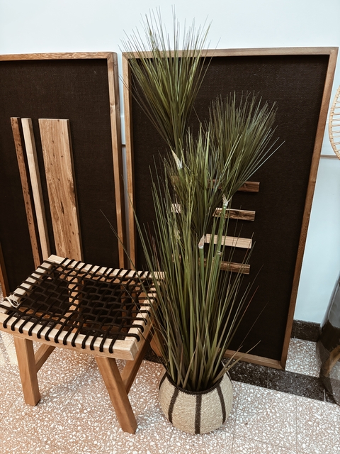 Planta Grass Claudia Adorno - 3 Medidas - comprar online