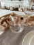 Vaso cristal Gastro - set x 6