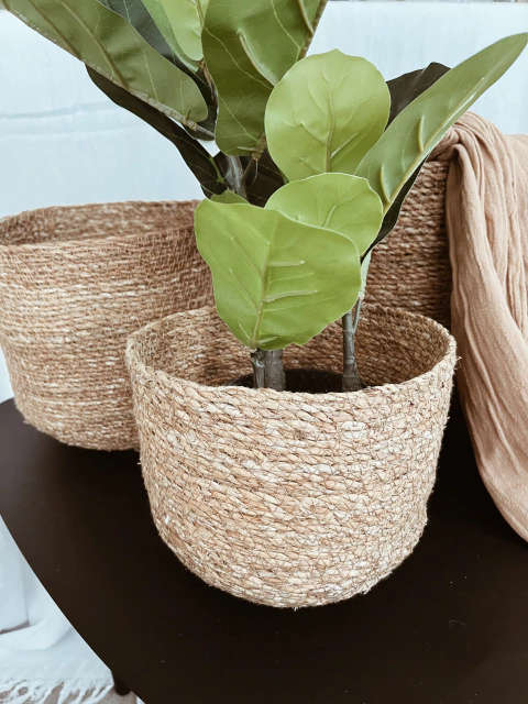 Canasto Taiwan - 3 medidas