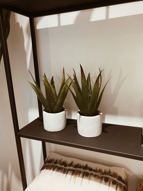 Maceta Suculenta No. 1 - Claudia Adorno