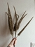 Vara Pigmeos - 2 Colores - comprar online