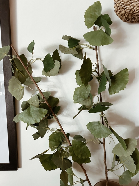 Vara Gingko Claudia Adorno