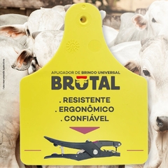 Aplicador de Brincos Anti Rasgo Universal com Destravamento Automático - Brutal - comprar online