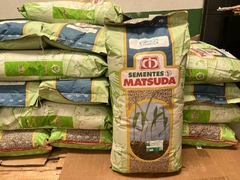 Capim Elefante Híbrido Paraíso Matsuda - 8 Kg - comprar online